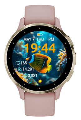 Reef Fish
