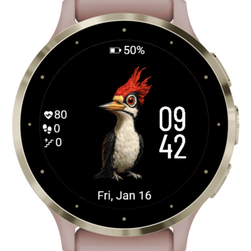 Red Woodpecker