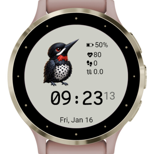 Cute Woodpecker