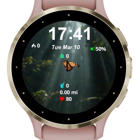 Butterfly Flying