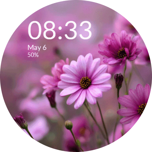 Vibrant Pink Purple Flowers