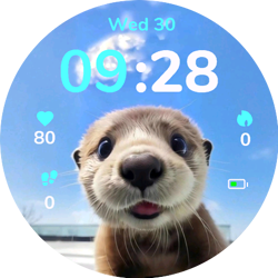 Sunny Otter