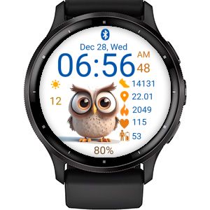 Bird - Owl 02
