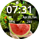 Melon Fresh