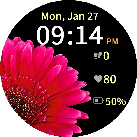 Blooming Gerbera