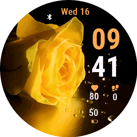 Golden Rose