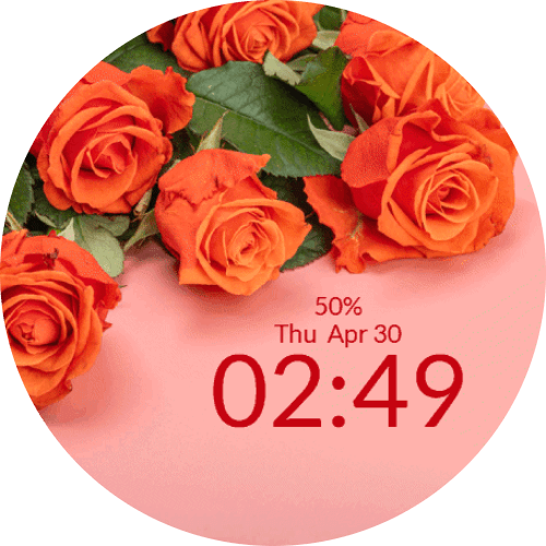 Orange Roses