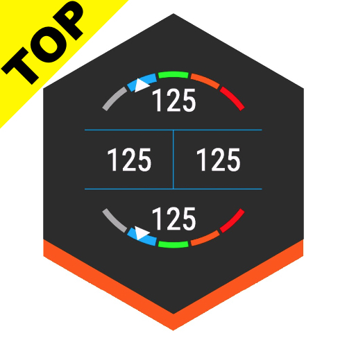 HR Zone Gauge