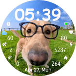 Glasses doggo