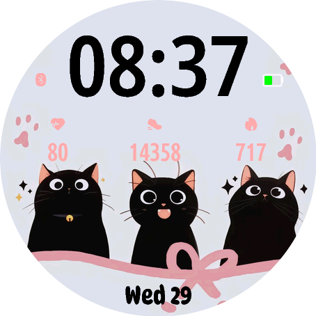 Black cute cat