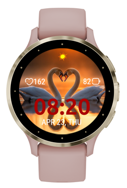 Swan Heart