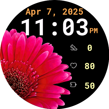 Gerbera Gem