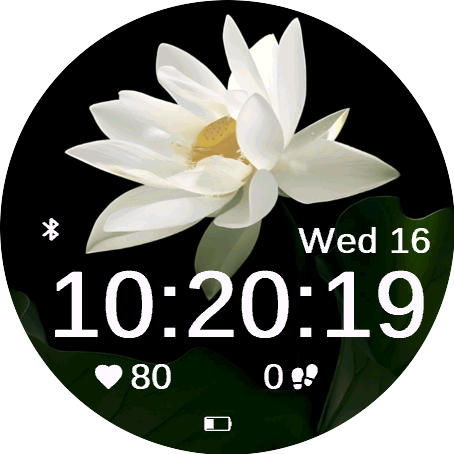 White Lotus
