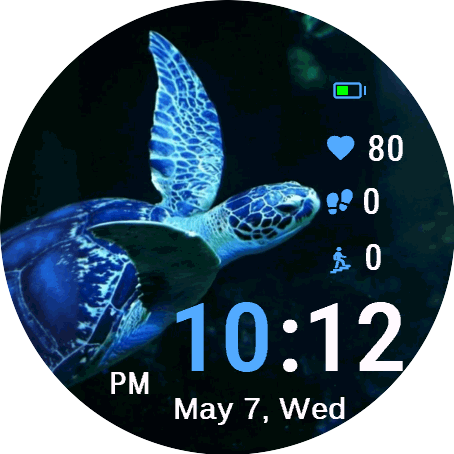 Blue Turtle