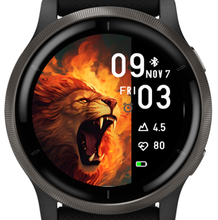 Angry Lion