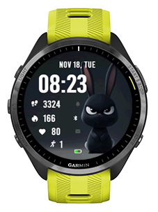 Fidgety Rabbit