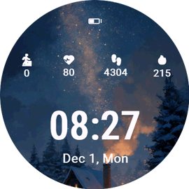Winter Stardust
