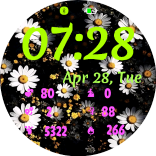 Daisy Hour