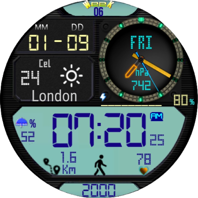PILOT_CASIO_X