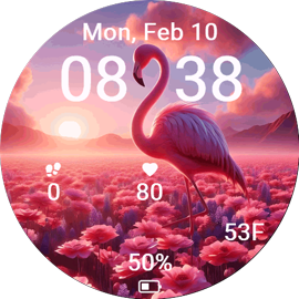 Flamingo Bloom