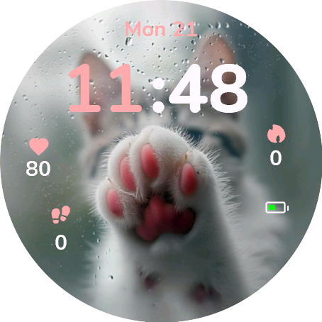 Rainy Paws