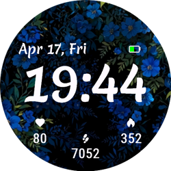 Blue Night Garden