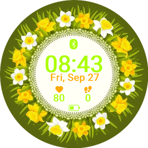 Daisy Border