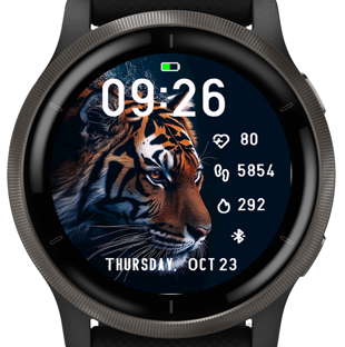 Tiger Four