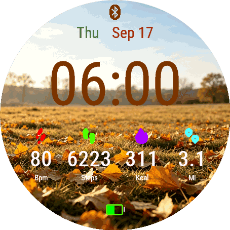 Autumn Field