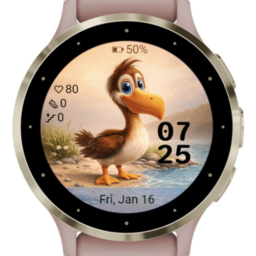 Cute Duck