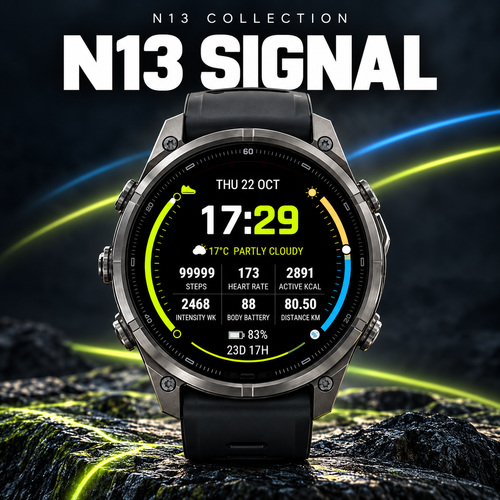 **N13 Signal**