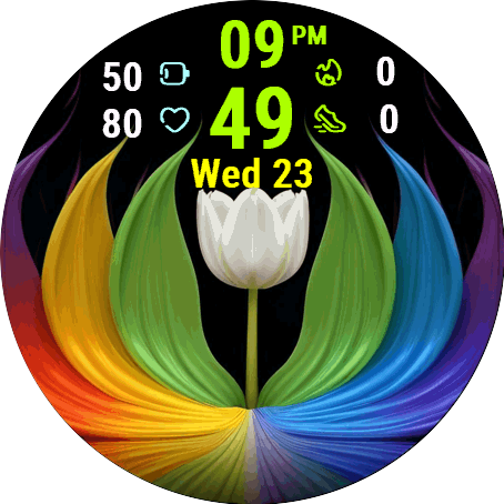 Tulip Fantasy
