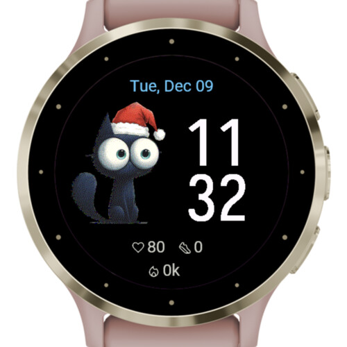 Funny cat watch