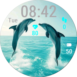 Happy Dolphins