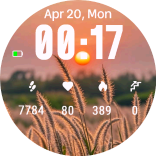 Sunset Grass