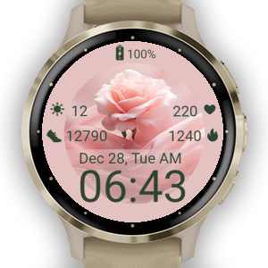 Connect IQ Store Watch Faces and Apps Garmin