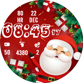 Cheerful Santa