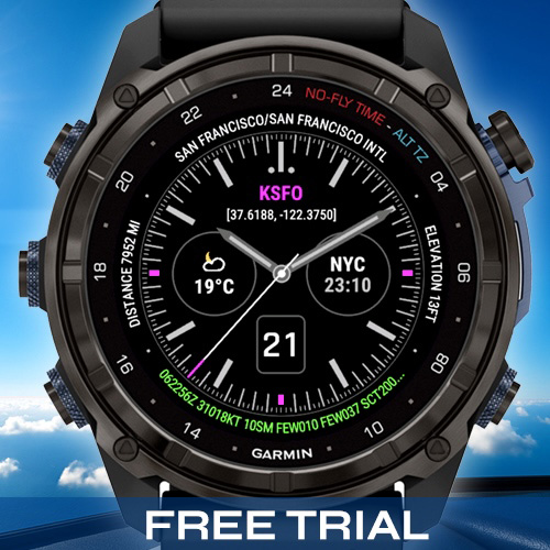 METAR Pilot SpeedMaster - Free Trial (AV Weather)