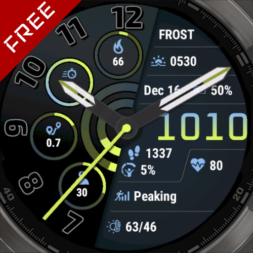 Fenix 8 Frost - GB