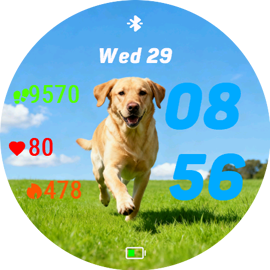 Happy Labrador