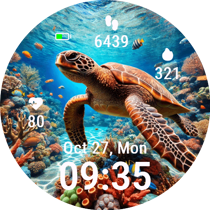 Sea Turtle