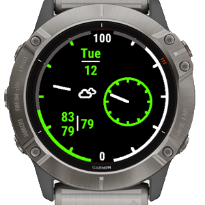 T5 Weather | Connect IQ Store