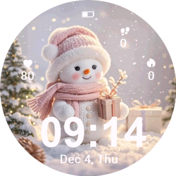 Snowy Gift