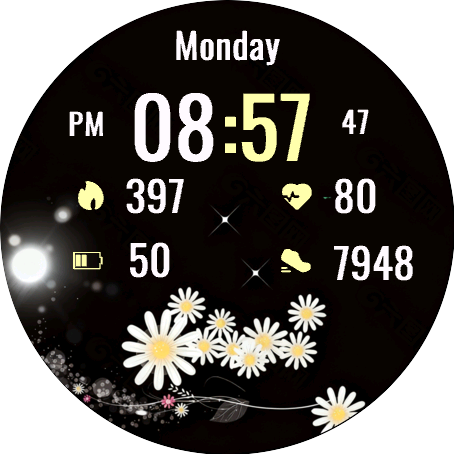 Starlight Daisies