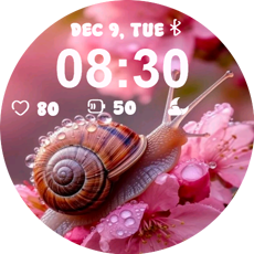 Pink Snail