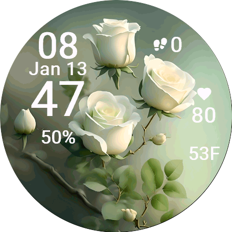 White Roses