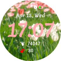 Tulip