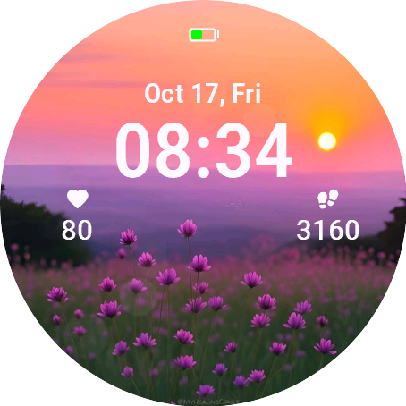 Sunset Blooms