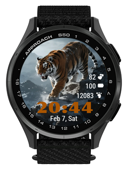 Tiger Five
