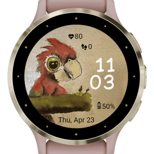 Funny Parrot
